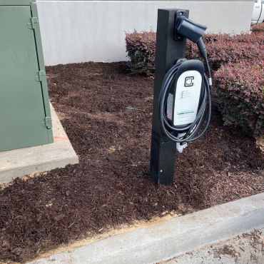 Electrical Vehicle charging station next to curb and purple bushes.