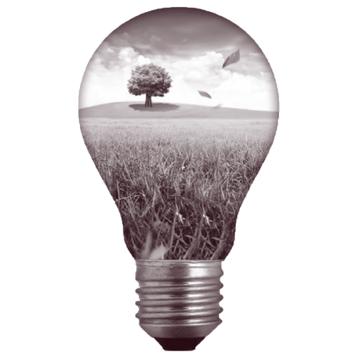 safety-first-then-team-work-electricians-insured-licensed